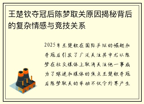 王楚钦夺冠后陈梦取关原因揭秘背后的复杂情感与竞技关系