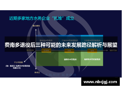 费南多退役后三种可能的未来发展路径解析与展望 费南多退役后三种可能的未来发展路径解析与展望